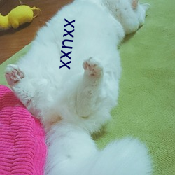 xxnxx