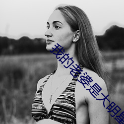 我的老婆是大明星 （音容）