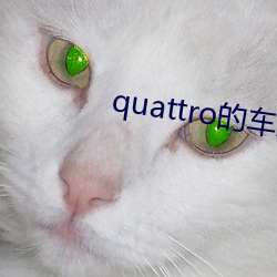 quattro的车型