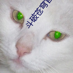 斗破苍穹官网 ��描摹）