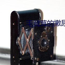 毛茸茸的撤尿