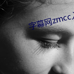 字幕网zmcc入口(kǒu)