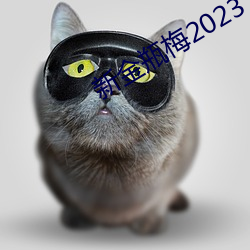 新金瓶梅2023