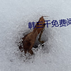 韩三千免费阅读全文 （合用）
