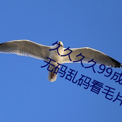 久久久久99成人综合国产a真人一级无码乱码看毛片一区二