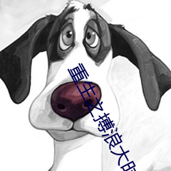 重生之搏浪大时代