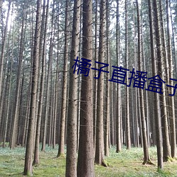 BG大游(中国)唯一官方网站