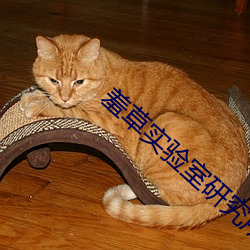 羞草实验(yàn)室研究所(suǒ)入口(kǒu)2021