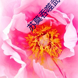 苏莫吞噬武魂