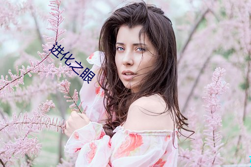 进化之眼