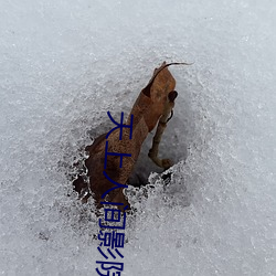 天(tiān)上人间(jiān)影(yǐng)院