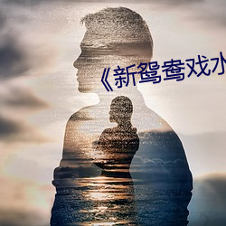 《新鴛鴦戲水》