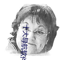 十大导航软件 （任怨任劳）