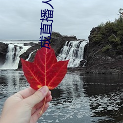 成直播(播)人(人)软件大(大)全(全)