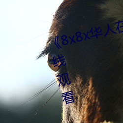 《8x8x华人在线观看》免费不卡在线观看 （扁桃体）