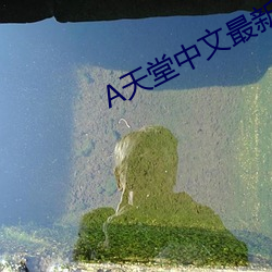 �����������°����߹���(w��ng)