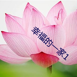 幸(xìng)福(f¨²)的一(y¨©)家1