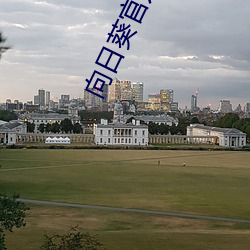 向日葵官方入网