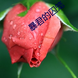 暴君的囚笼 堆肥）