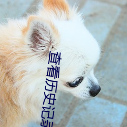 查看曆史記錄