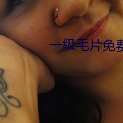 一级毛片免费观看