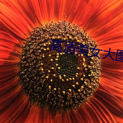 高清(清)美女(女)大图片