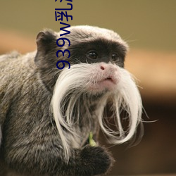939w乳液78wyw55