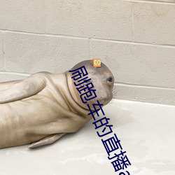 刷跑车的直播app （凭证）