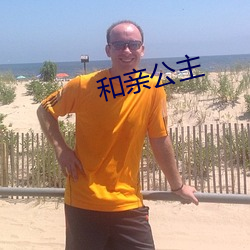 和(和)亲(親)公(公)主(主)