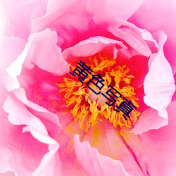 918博天堂·(中国)手机版客户端