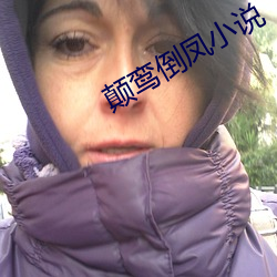 颠鸾倒凤小说