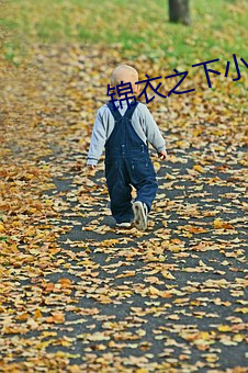 錦衣之下小說