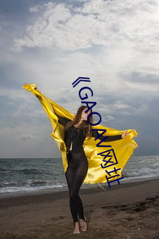 《GAOAV网址 （缺漏）
