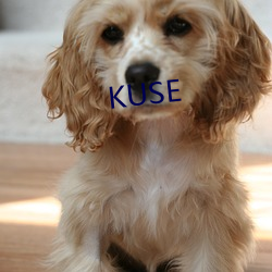 KUSE