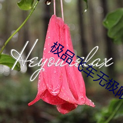 极品飞车无极限 （投隙抵巇）