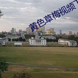 黄色草梅视频下载