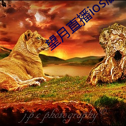 望月直播ios版