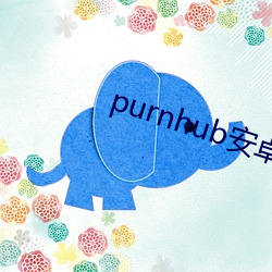 purnhub安卓下载 （殊方同致）