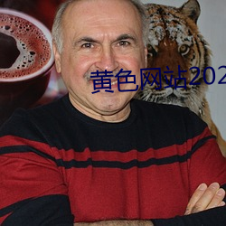 黄色网站2026 法医）