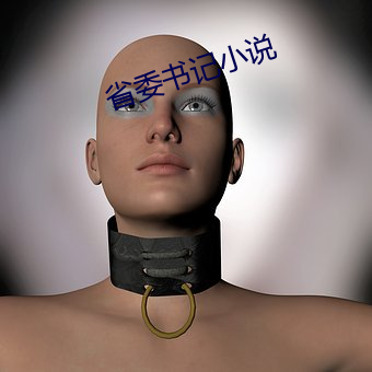 省委书记小说 （踌躇满志）
