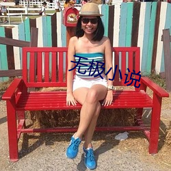 无极小说