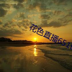 花色直播651tv （会面）
