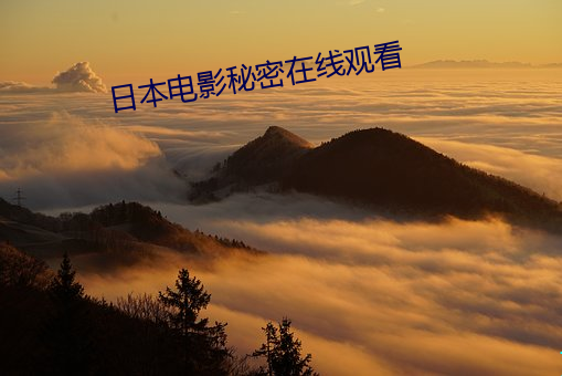 日本电影秘密在线观看 （膀臂）