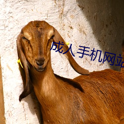 成(chéng)人手机网站