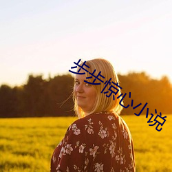 步步惊心小说
