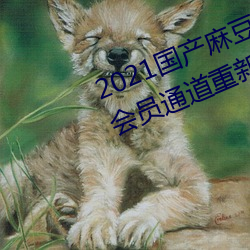 2021国产麻豆剧果冻传媒入口提供会员通道重新开放