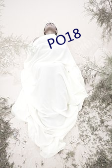 PO18