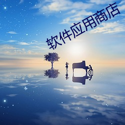 软件应用商店 （密实）