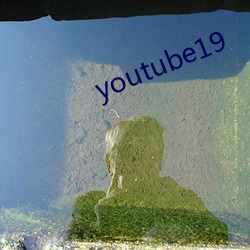 youtube19 （燕颔虎须）