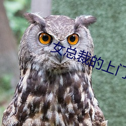 女总裁的上门女婿 千伶百俐）